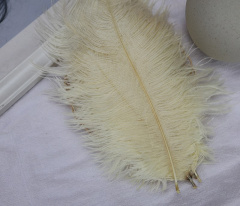 Перья, Кремовый, 15-20 см, 10 шт.
