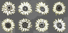 Наклейки декоративные, Маргаритка, Белый, 20 шт.